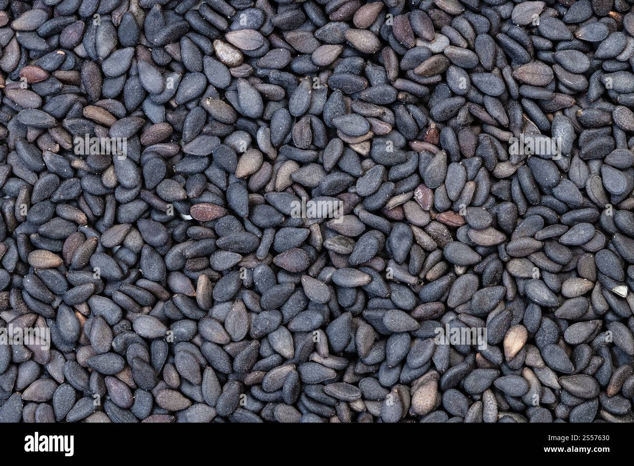 contexte alimentaire - beaucoup de graines de sésame noir Banque D'Images