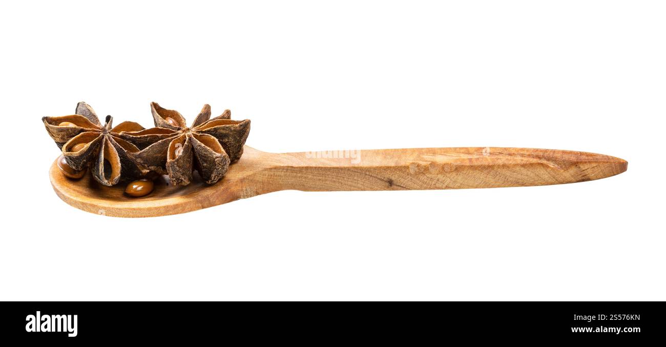 cuillère en bois avec anis étoilé (badian) isolée sur fond blanc Banque D'Images