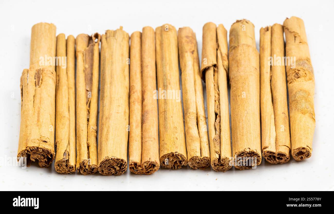 beaucoup de bâtonnets de cannelle de ceylan de qualité supérieure de l'alba gros plan sur plaque en céramique grise Banque D'Images