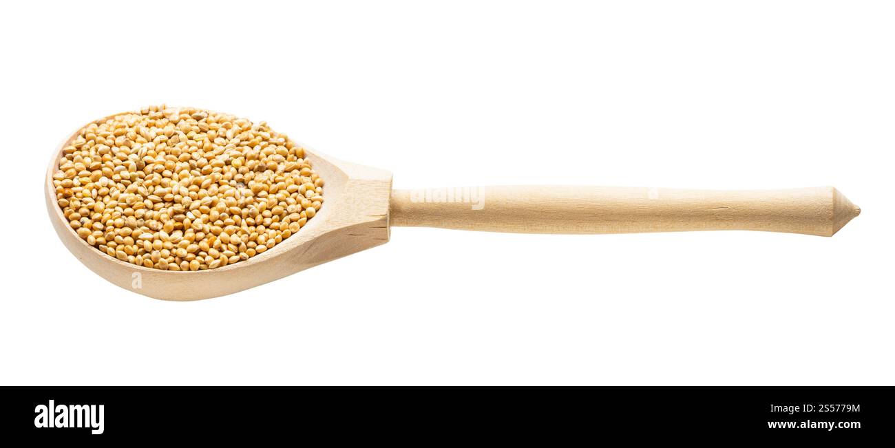 millet proso jaune non poli dans une cuillère en bois isolée sur blanc arrière-plan Banque D'Images