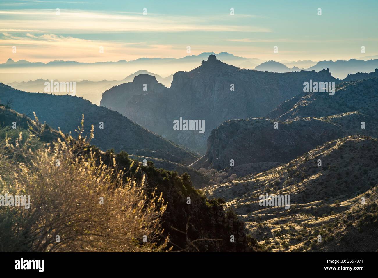La beauté pittoresque du Mont Lemmon offre une vue imprenable sur les pics accidentés et les déserts sereins, parfaits pour les aventures de randonnée. Banque D'Images
