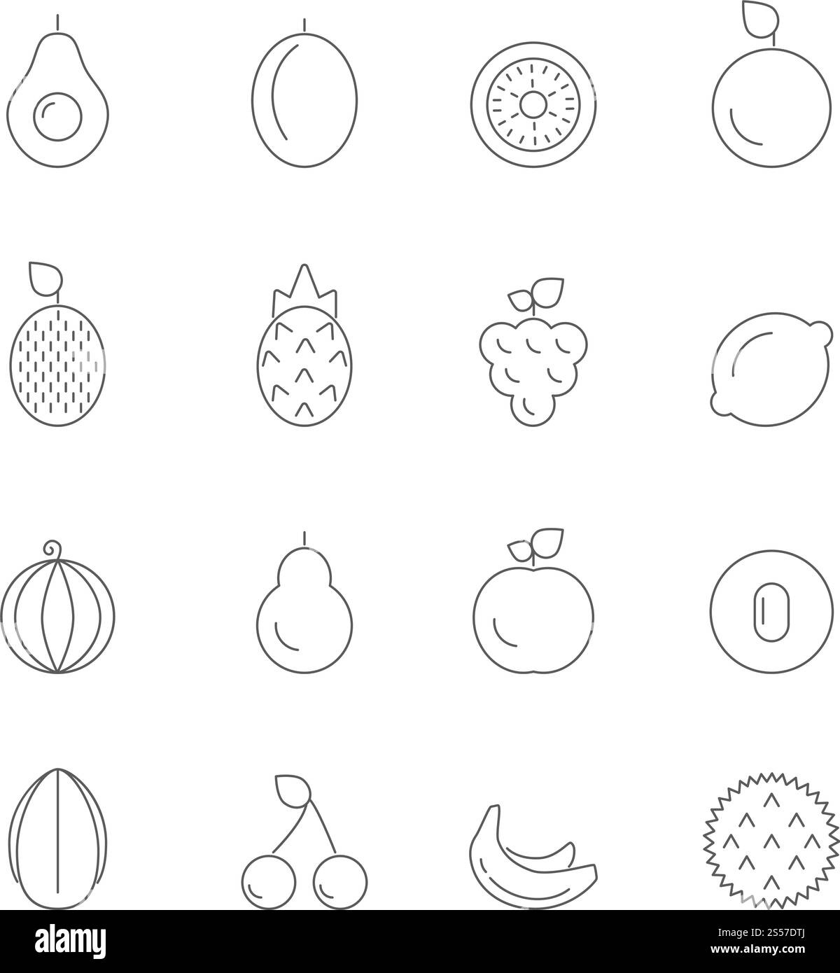 Illustrations linéaires de divers fruits. Nourriture saine, vecteur de nutrition biologique linéaire frais. Illustrations linéaires de divers fruits Illustration de Vecteur