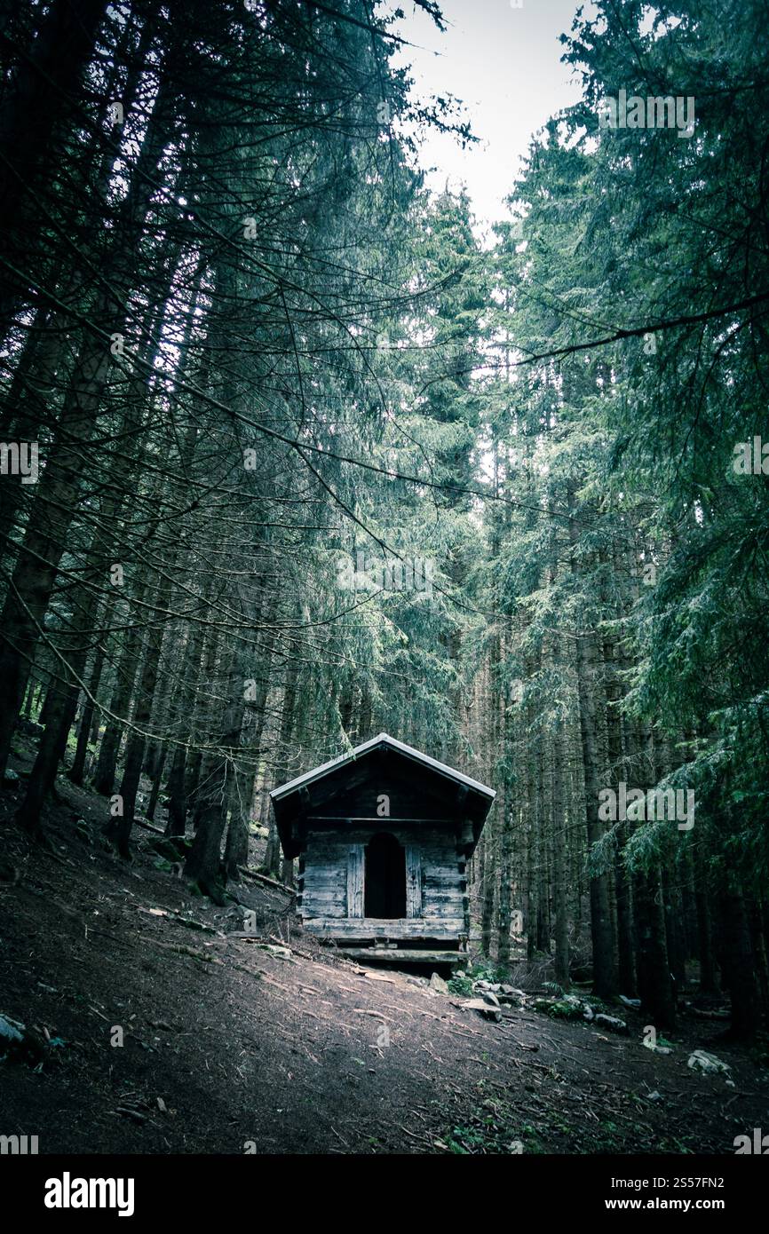 Petite cabane en bois abandonnée dans une profonde forêt de sapins sombres. Petite cabane en bois dans une forêt de sapins sombres Banque D'Images