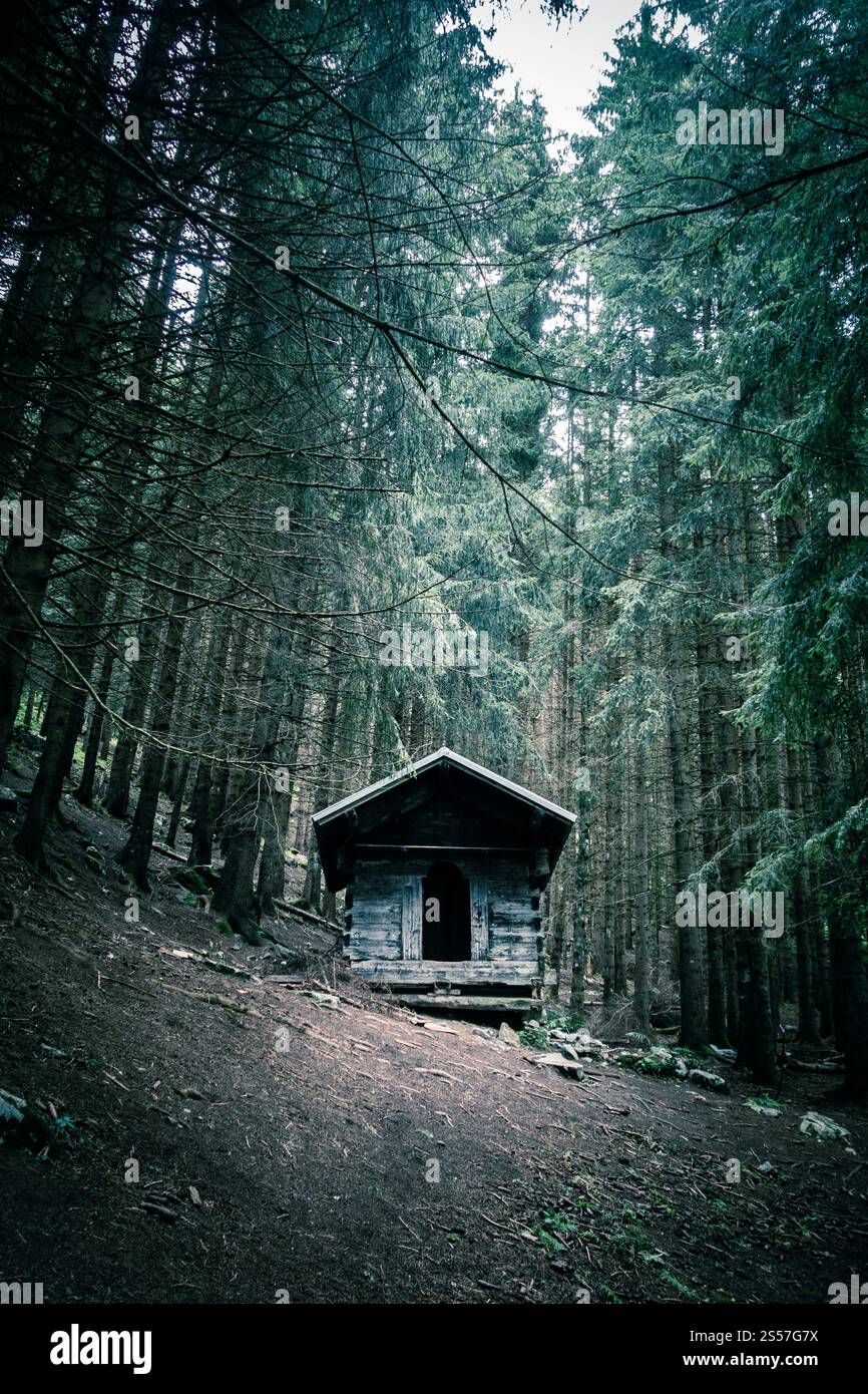 Petite cabane en bois abandonnée dans une profonde forêt de sapins sombres. Petite cabane en bois dans une forêt de sapins sombres Banque D'Images