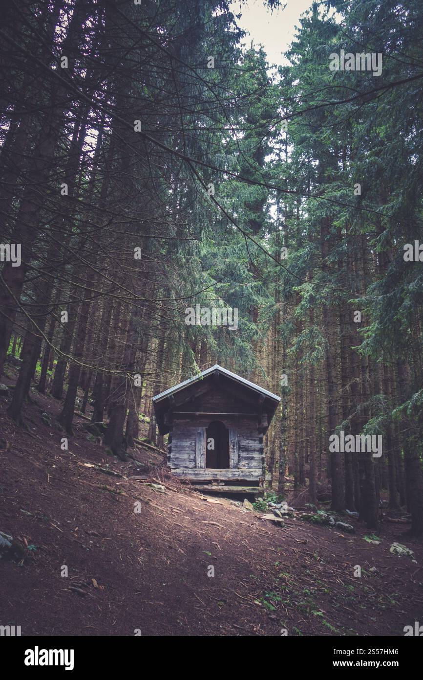 Petite cabane en bois abandonnée dans une profonde forêt de sapins sombres. Petite cabane en bois dans une forêt de sapins sombres Banque D'Images