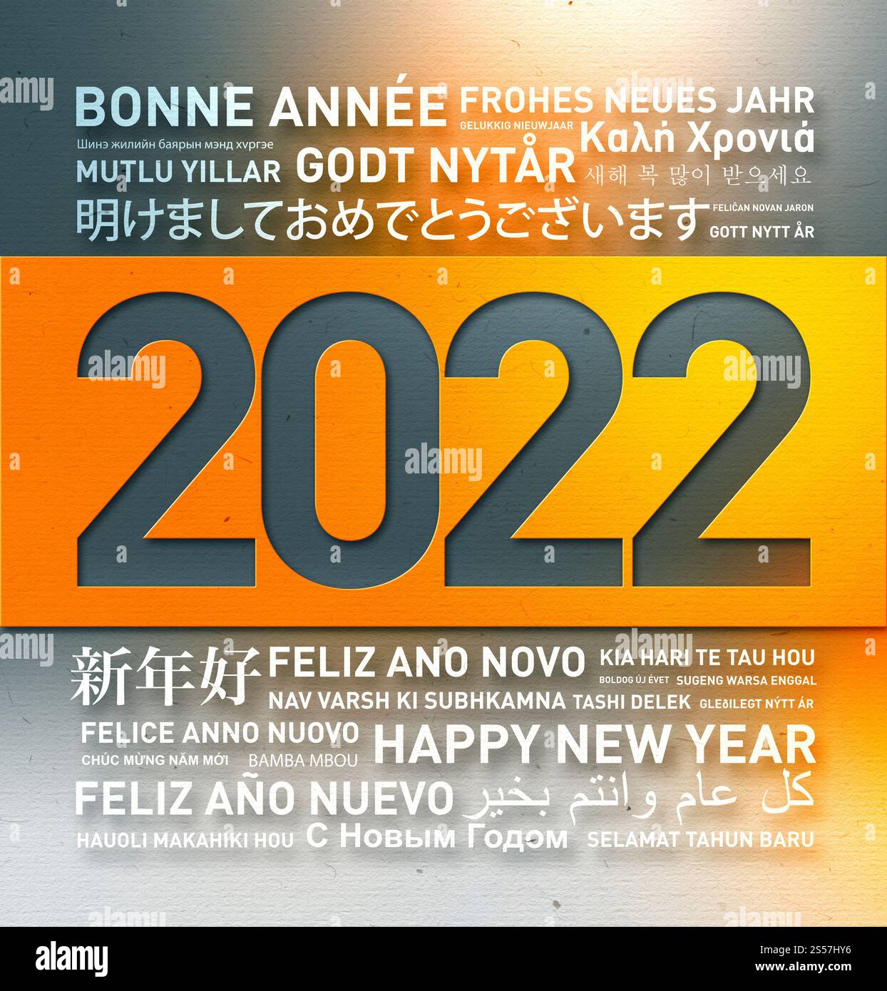 Bonne année 2022 carte de voeux du monde entier en différentes langues. Joyeuses salutations du monde entier Banque D'Images