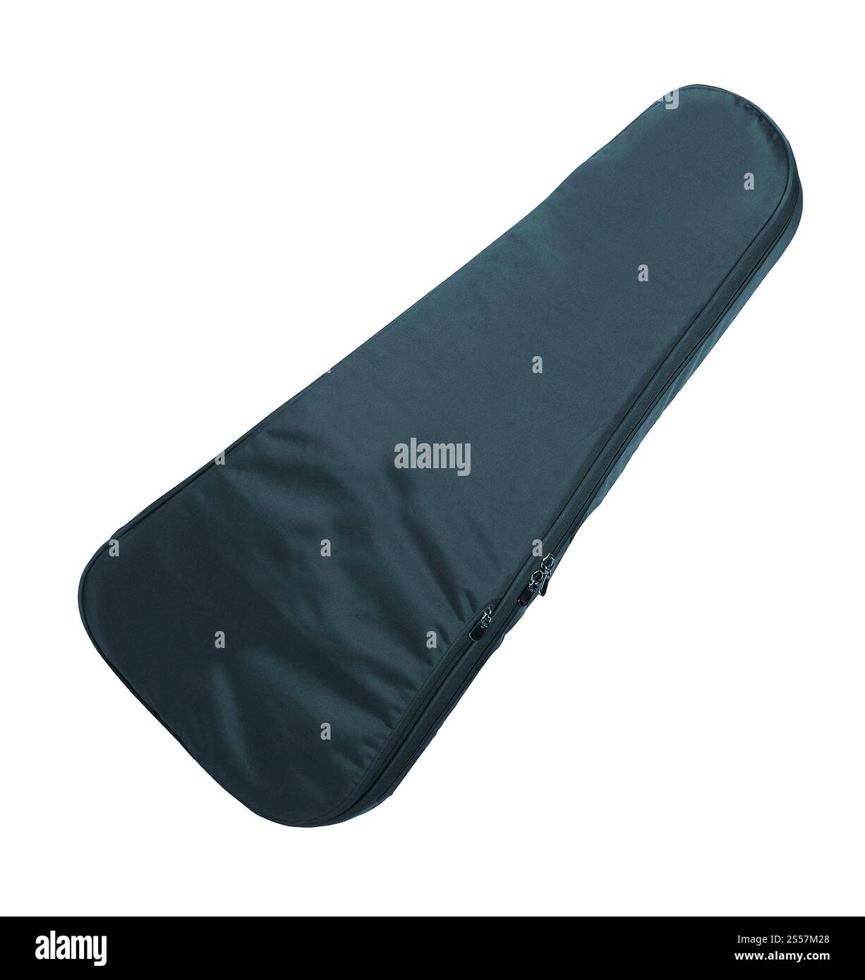 Étui de violon isolé sur fond blanc. Étui de violon isolé sur blanc Banque D'Images