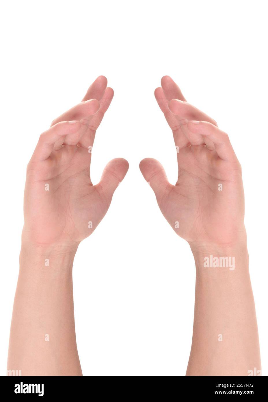 Deux mains, en gardant la sécurité. isolé sur fond blanc. Deux mains, en gardant la sécurité Banque D'Images