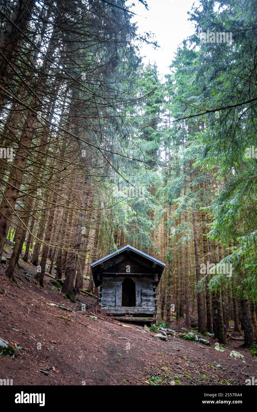 Petite cabane en bois abandonnée dans une profonde forêt de sapins sombres. Petite cabane en bois dans une forêt de sapins sombres Banque D'Images