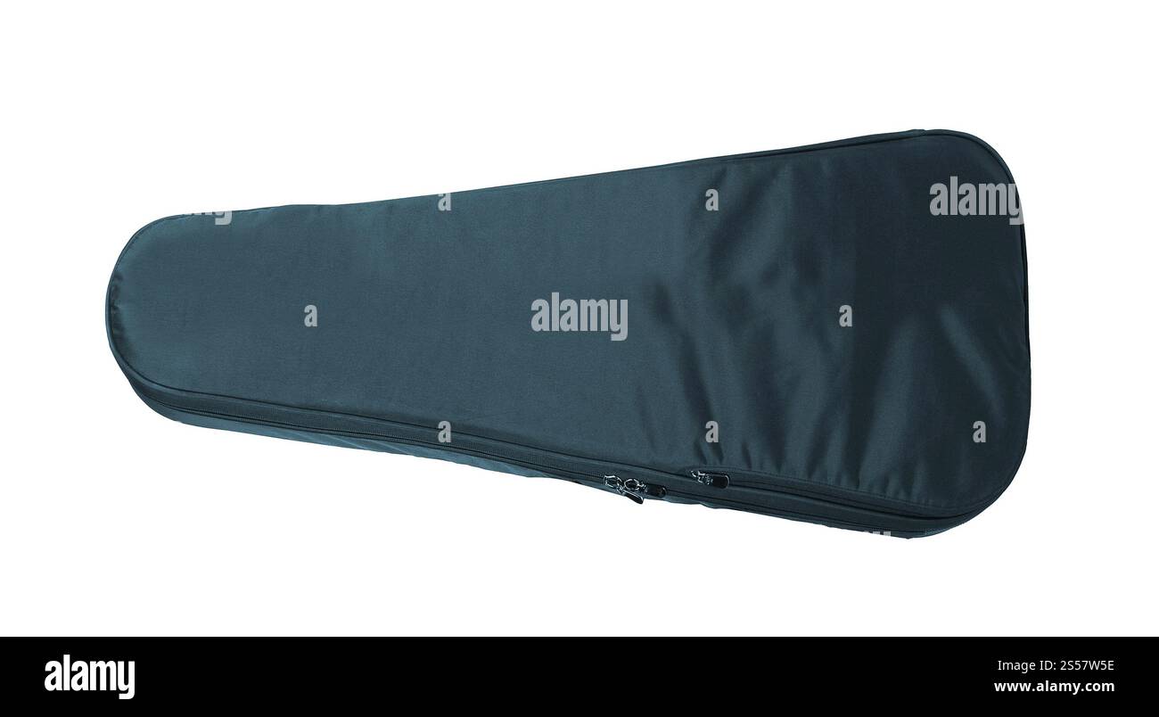 Étui de violon isolé sur fond blanc. Étui de violon isolé Banque D'Images