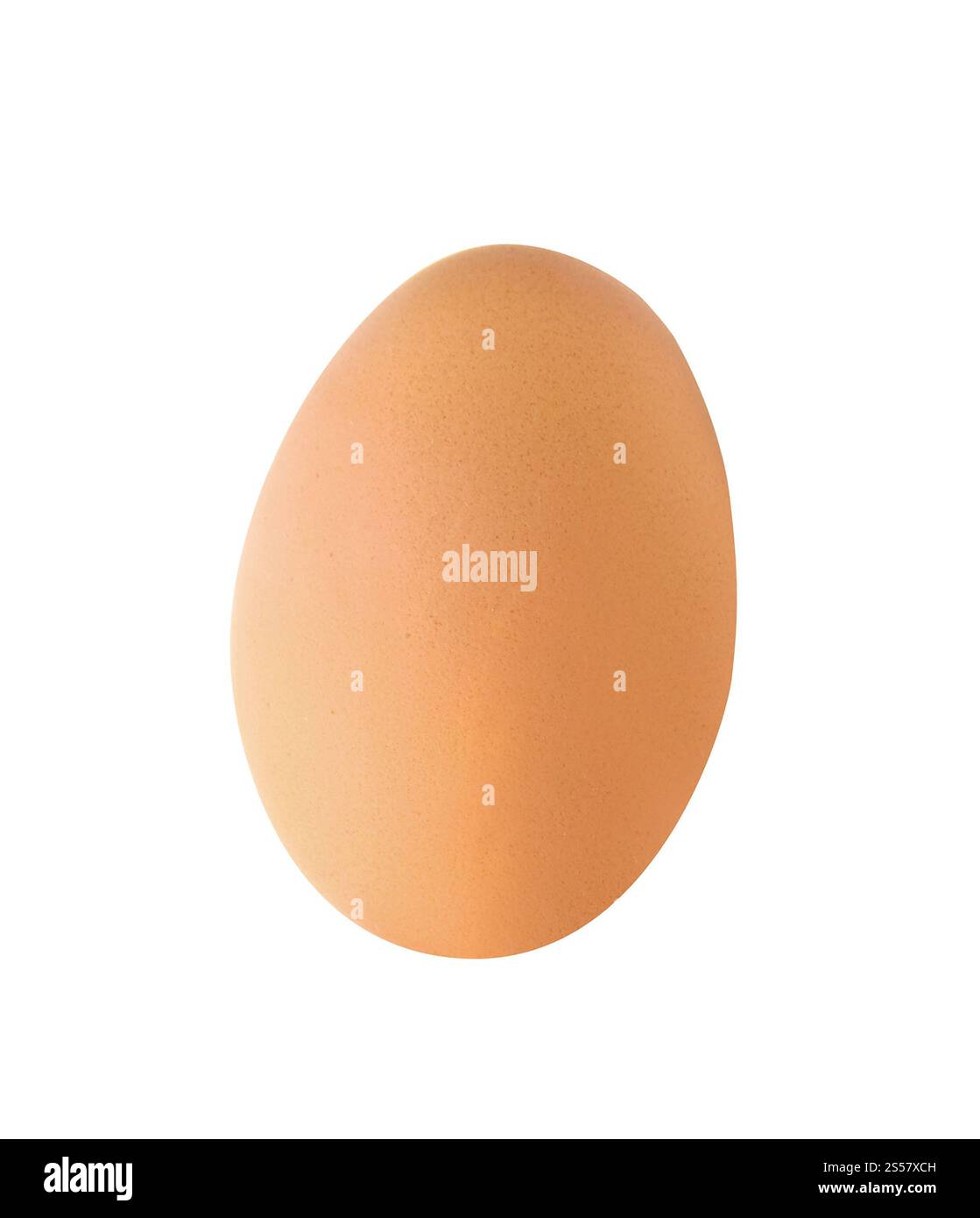Brown unique oeuf de poule isolated on white Banque D'Images