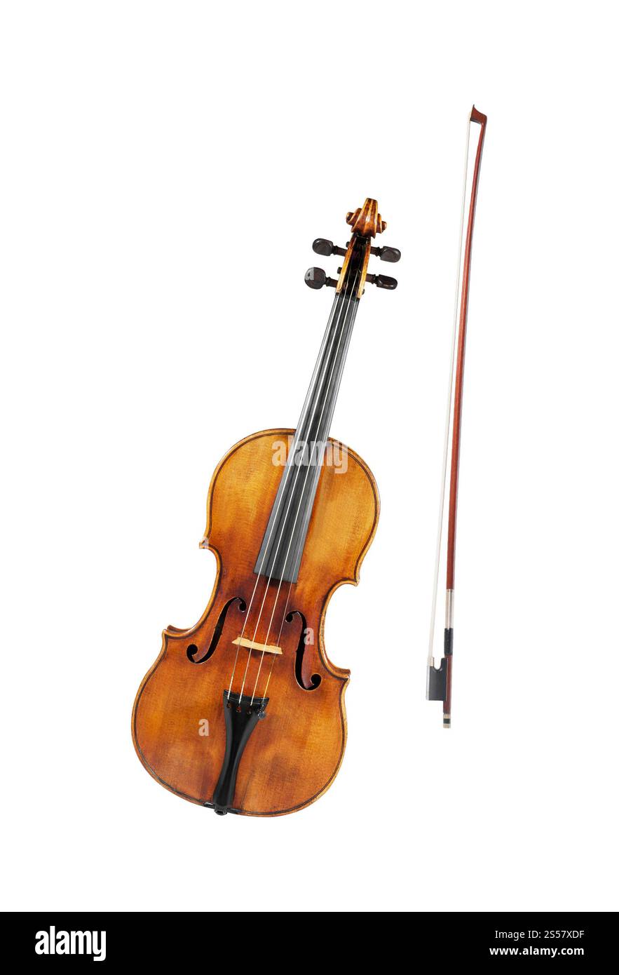 Violon isolé sur fond blanc Banque D'Images