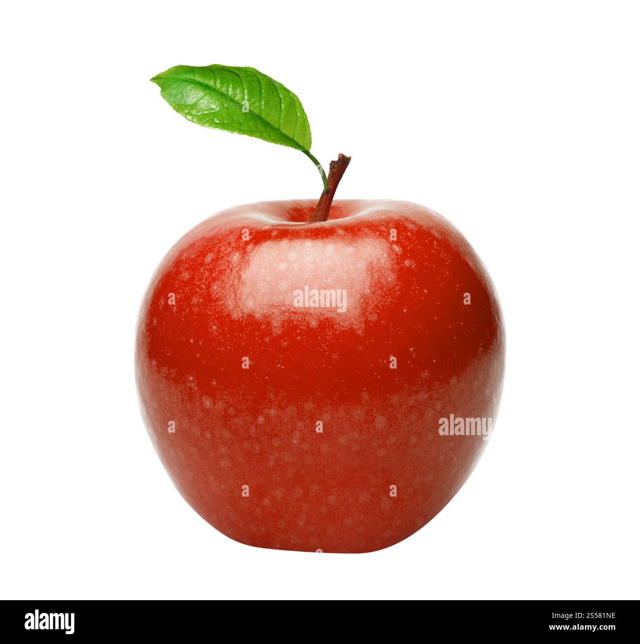 Pomme rouge sur fond blanc. Pomme rouge Banque D'Images
