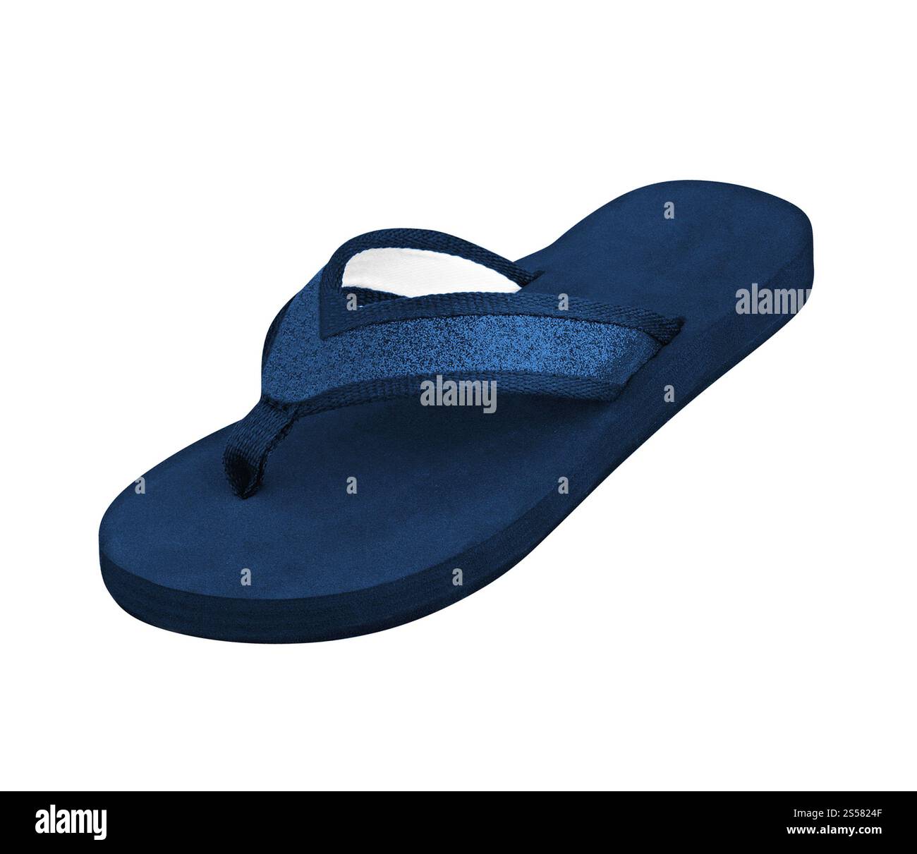 Blue Slipper isolé sur fond blanc. Blue Slipper isolé Banque D'Images