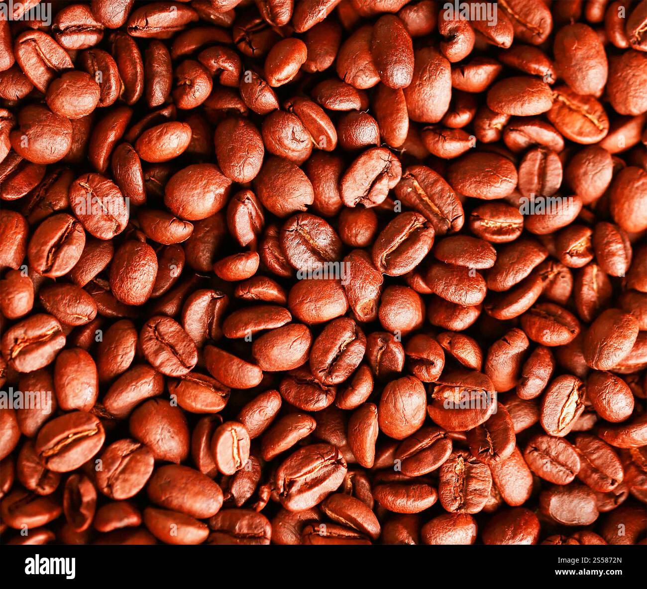 Les grains de café torréfié Banque D'Images