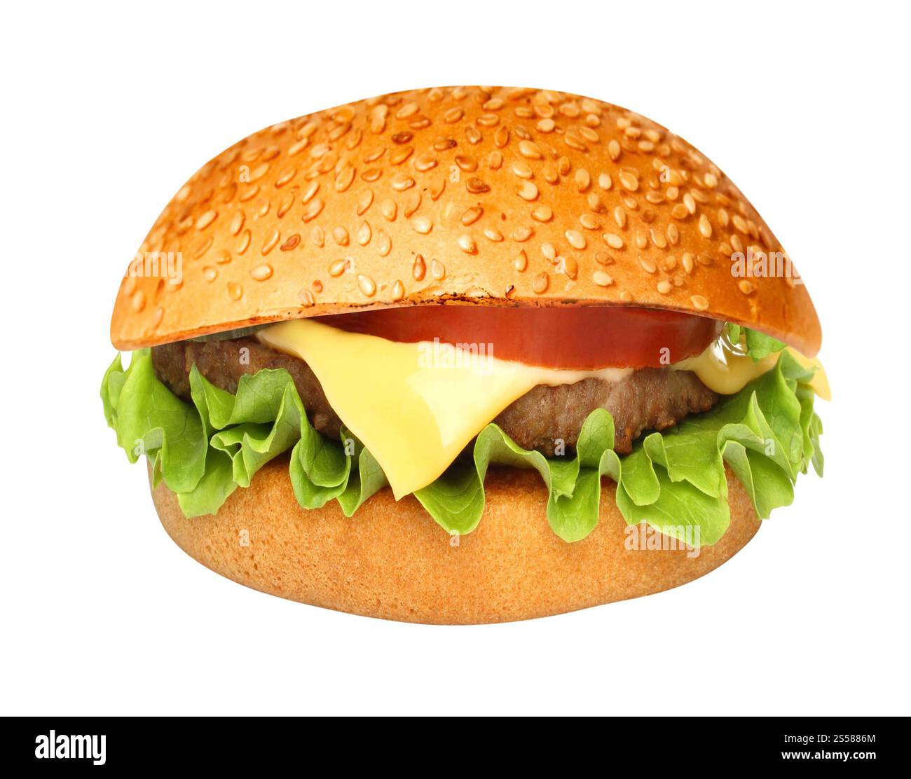 Hamburger classique hamburger classique parfait cheeseburger américain isolé sur blanc Banque D'Images