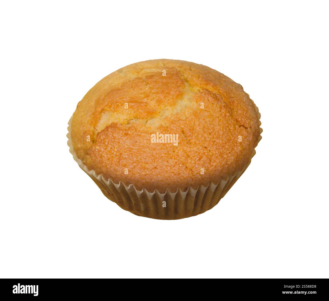 Closeup de gâteau de tasse de muffin aux pépites de chocolat isolé sur fond blanc Banque D'Images