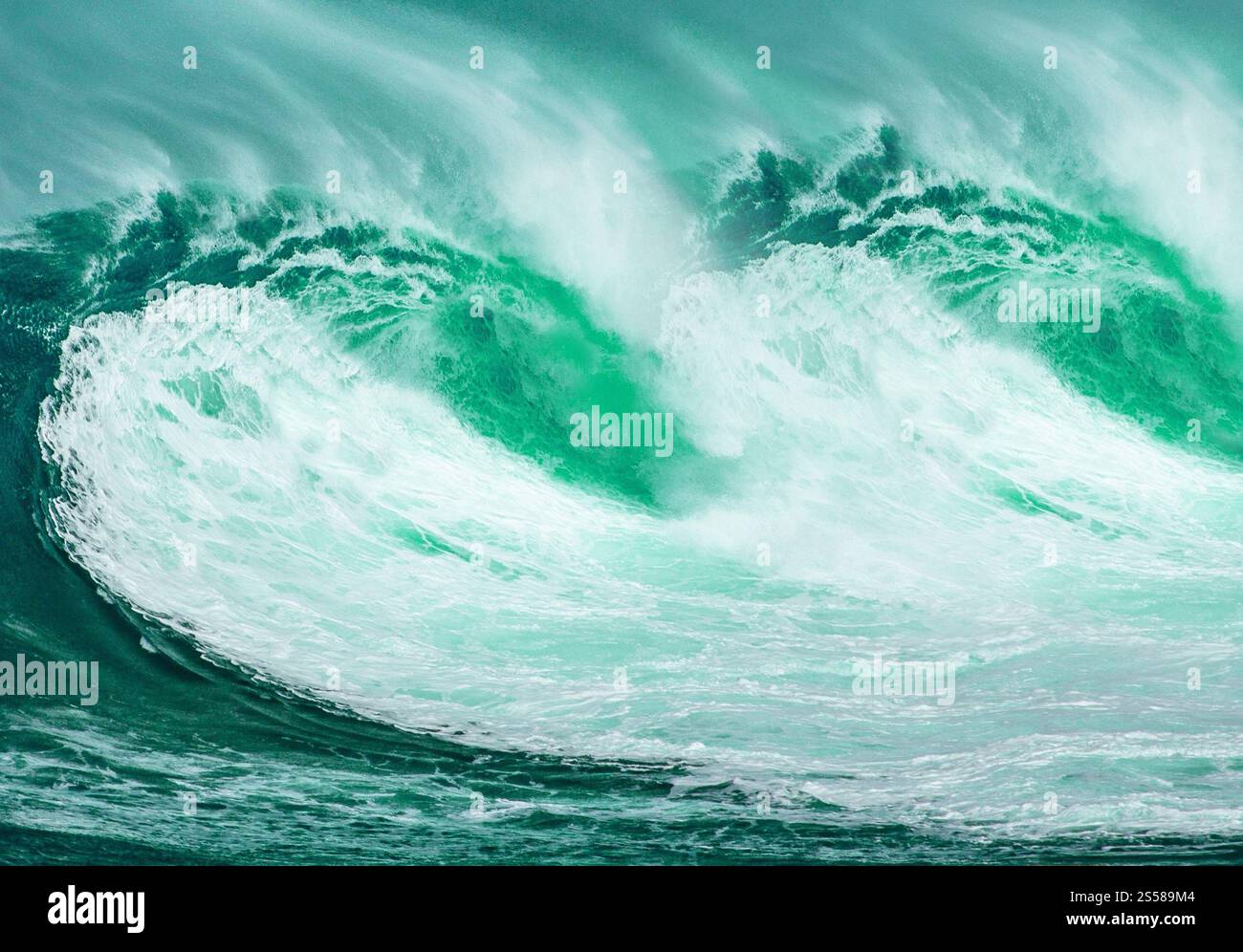Green Ocean Wave Banque D'Images