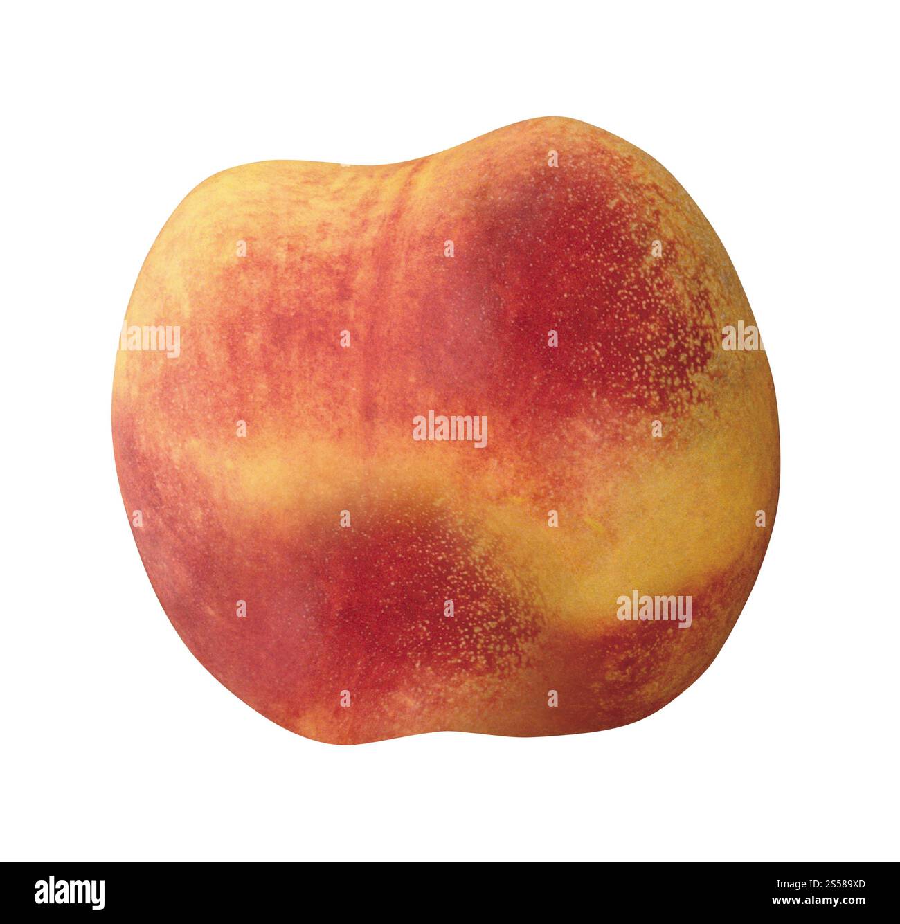 Peach isolated on white Banque D'Images