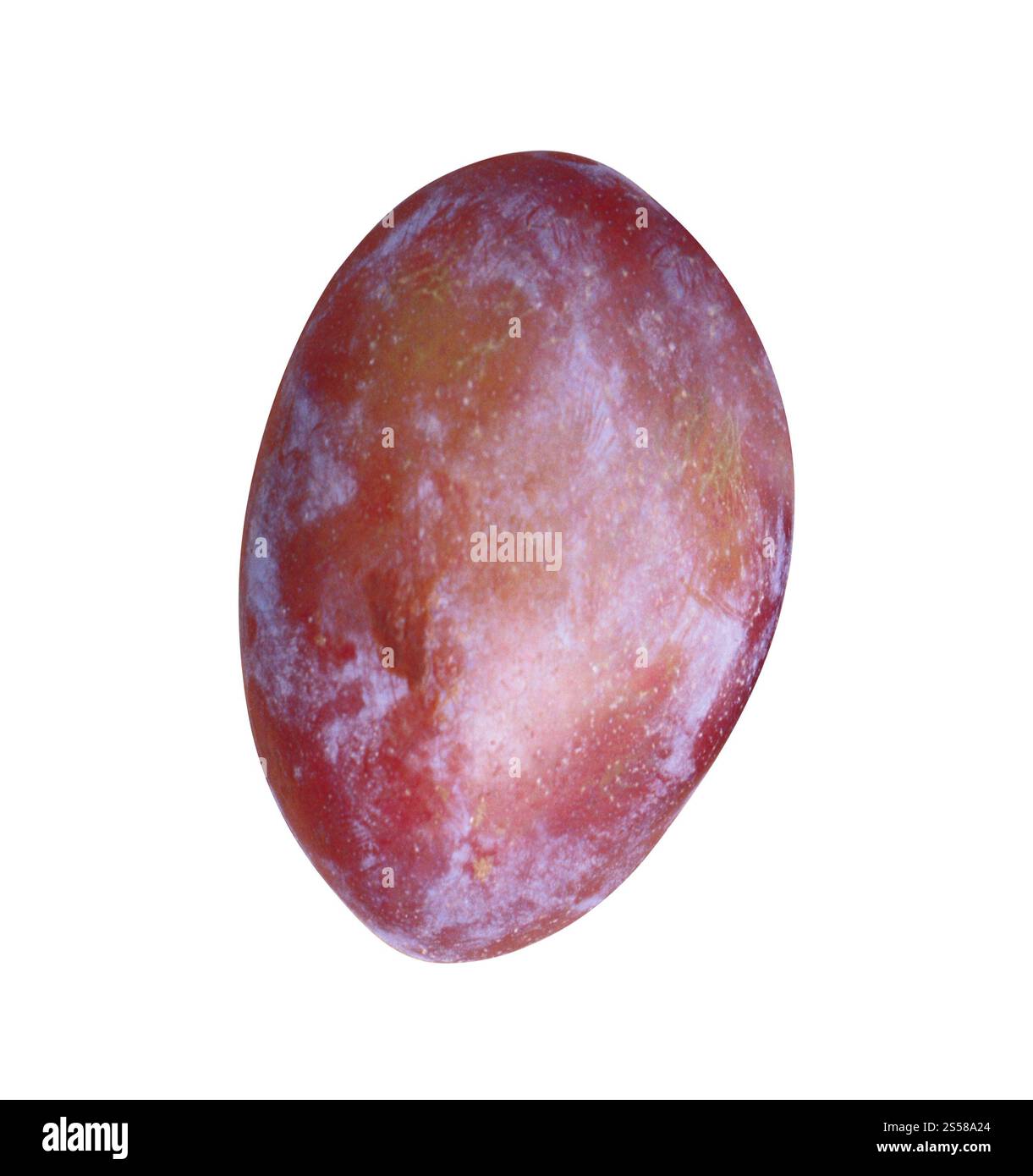 Prune sur fond blanc Banque D'Images