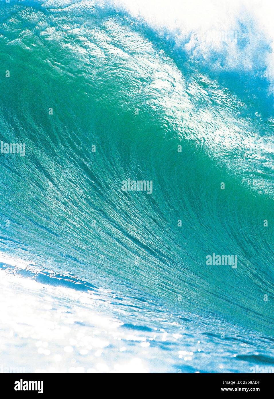 Big Ocean Wave Banque D'Images