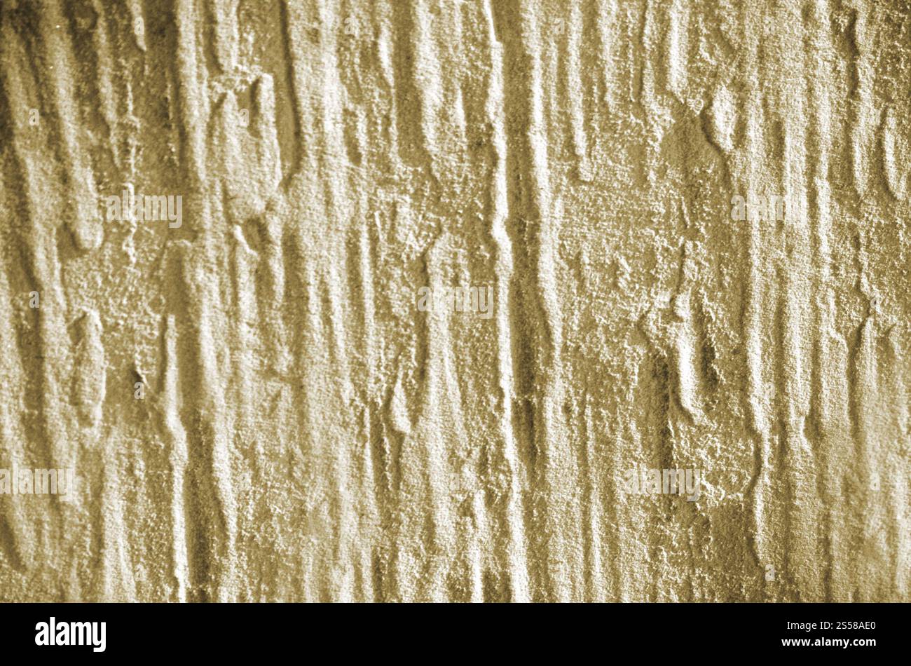 fond de roche Banque D'Images