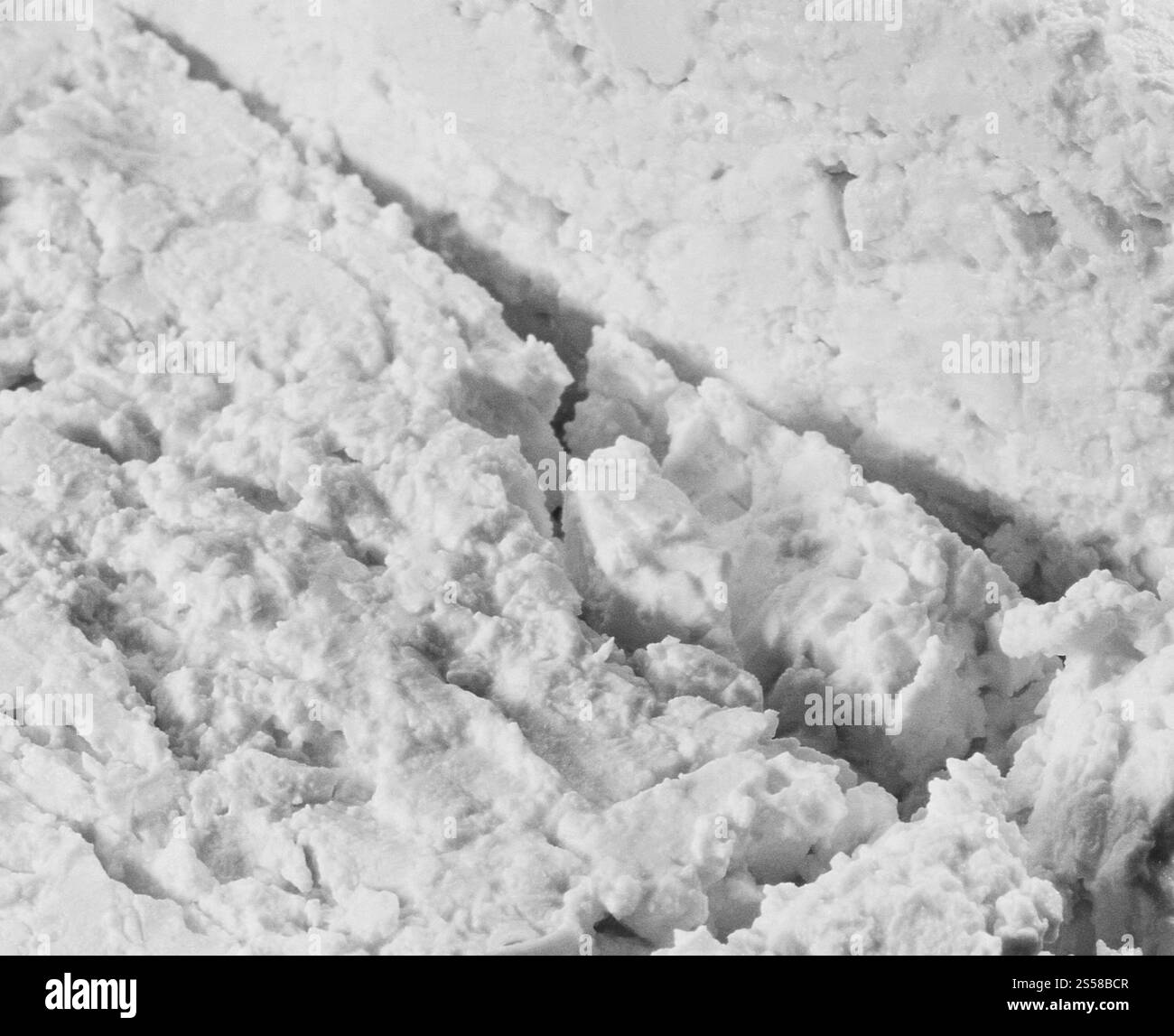 texture de fromage cottage isolée Banque D'Images