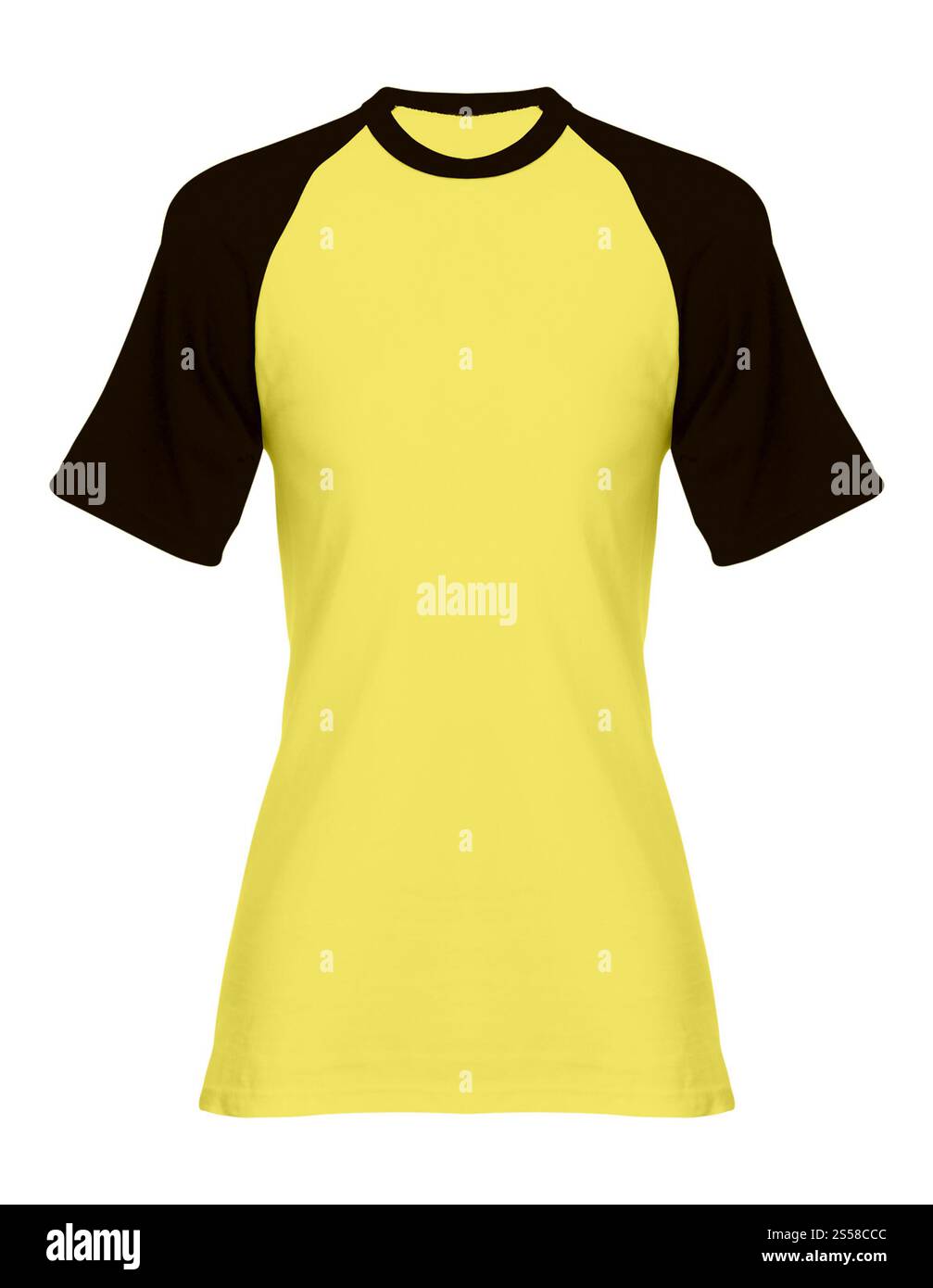 Polo isolé sur fond blanc Banque D'Images