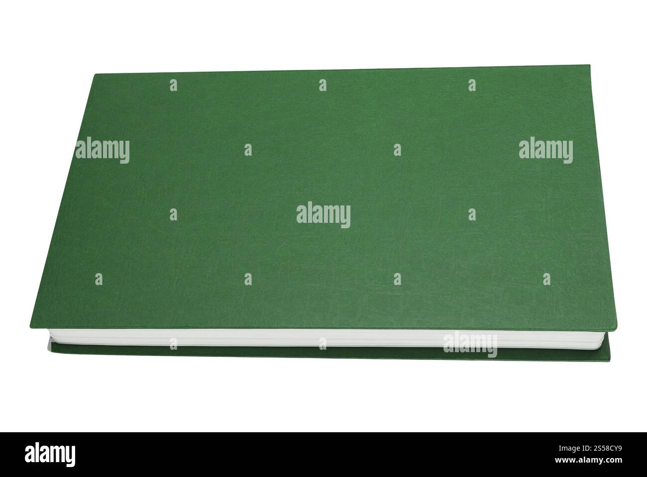 livre vert isolé sur blanc Banque D'Images