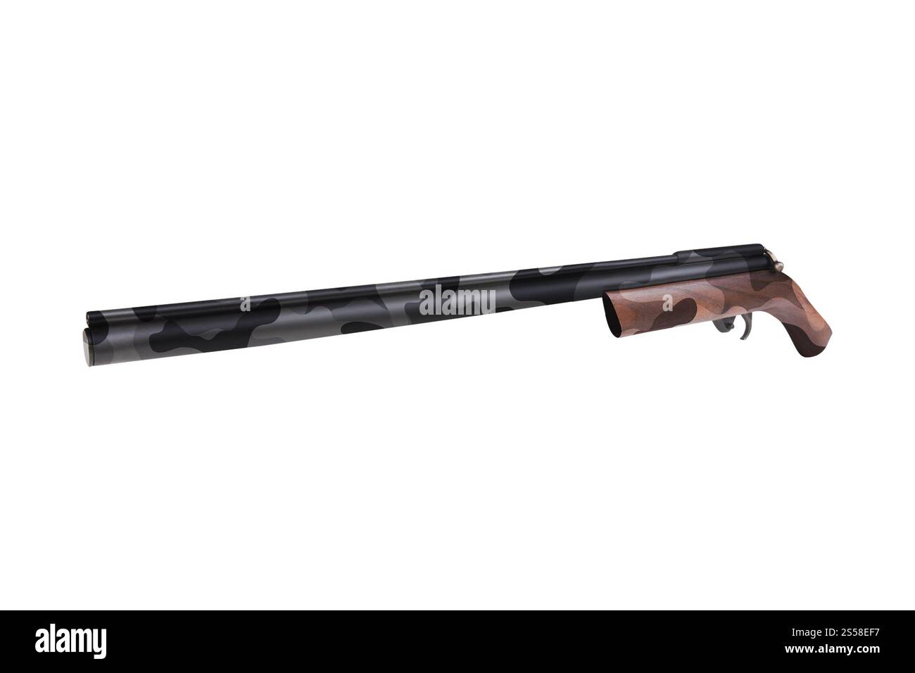 fusil de chasse isolé sur blanc Banque D'Images