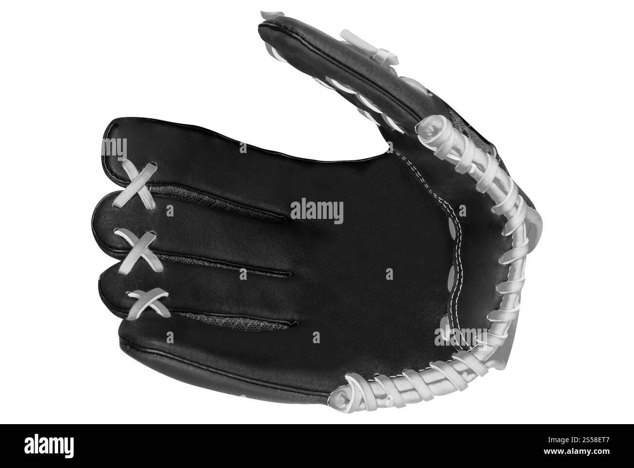 Gant de baseball isolé sur blanc Banque D'Images
