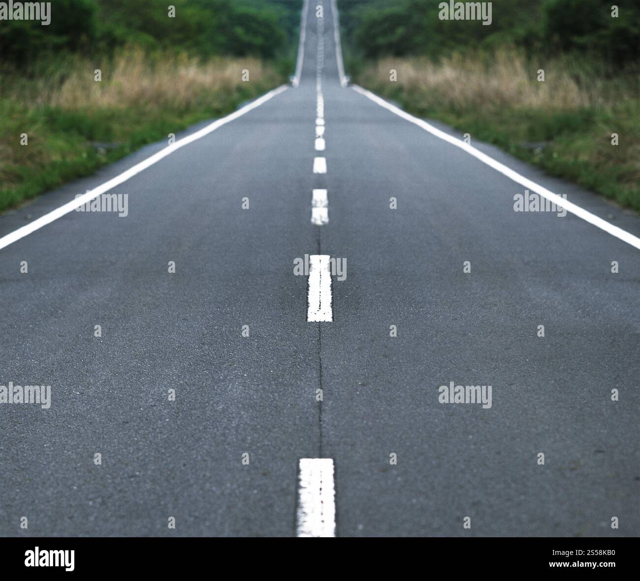 Route goudronnée droite menant à la lumière. Route goudronnée droite Banque D'Images