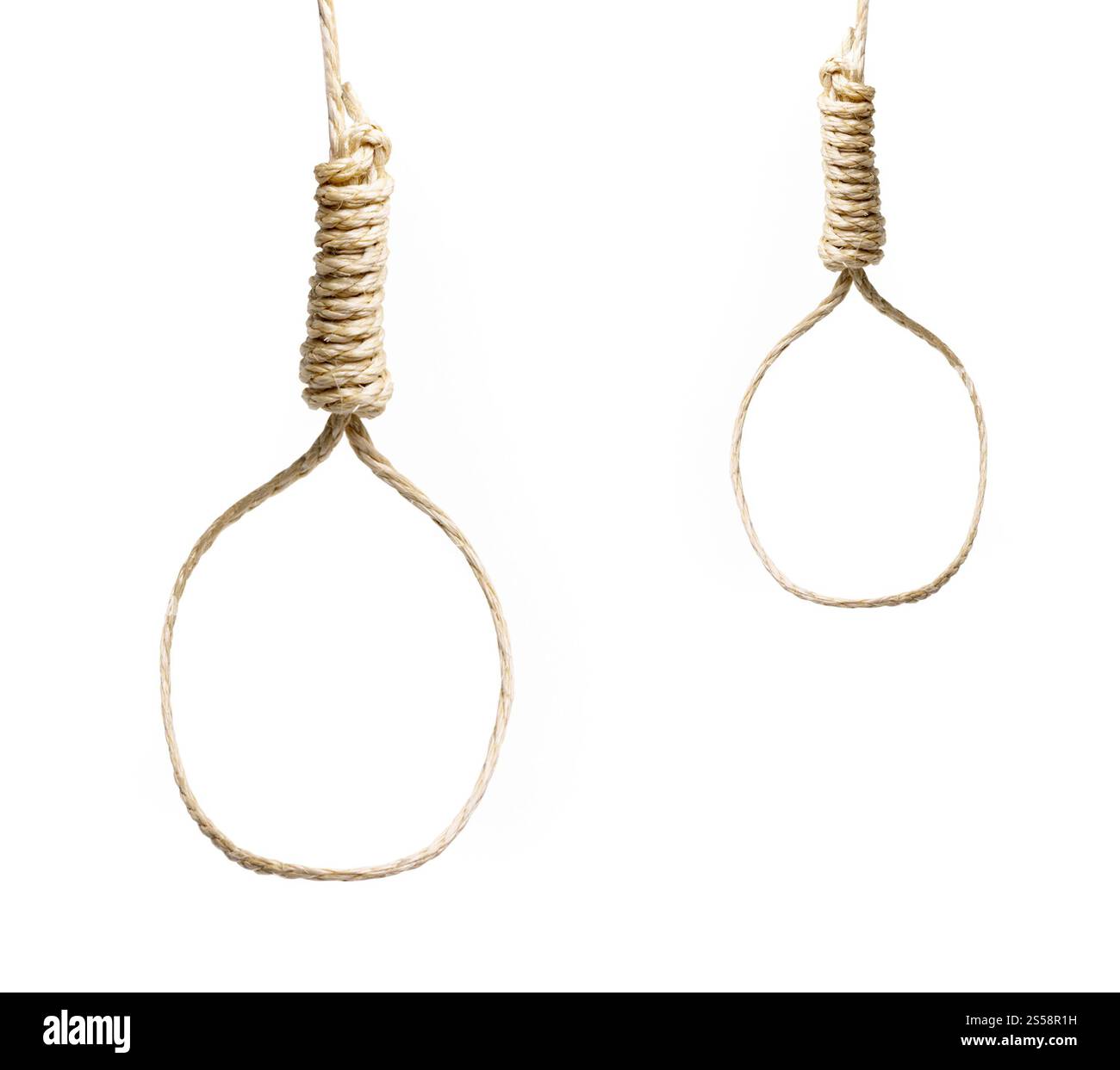 nooses isolés sur fond blanc. nooses isolés sur blanc Banque D'Images