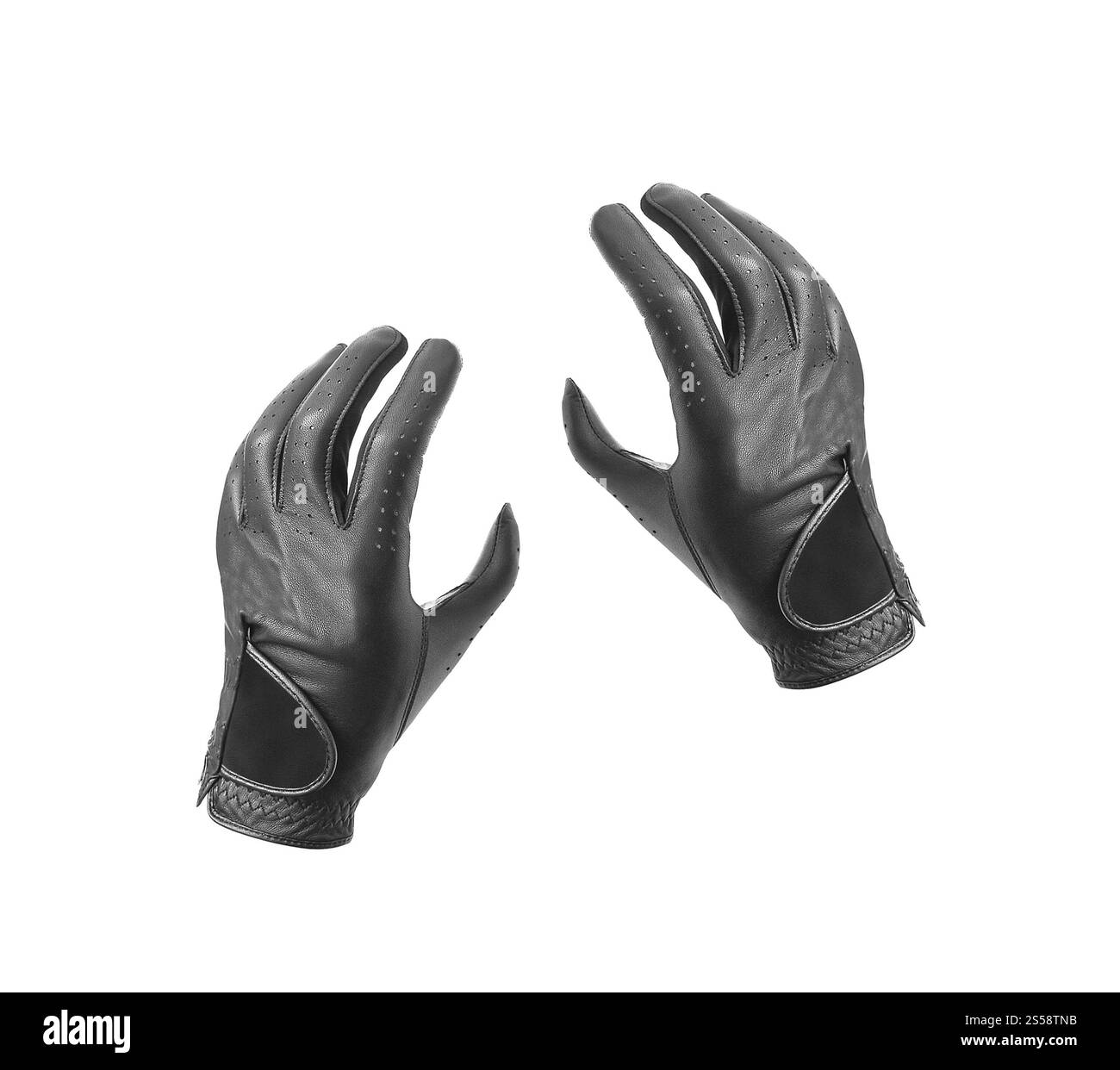 Gants de moto en cuir avec protection en fibre de carbone. Gants de moto en cuir Banque D'Images