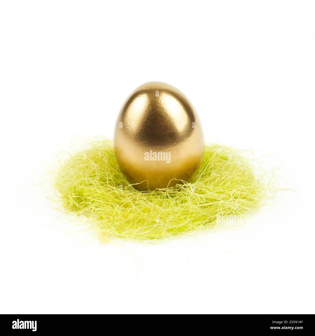 oeuf doré dans le nid isolé sur fond blanc. oeuf doré en nid isolé sur blanc Banque D'Images