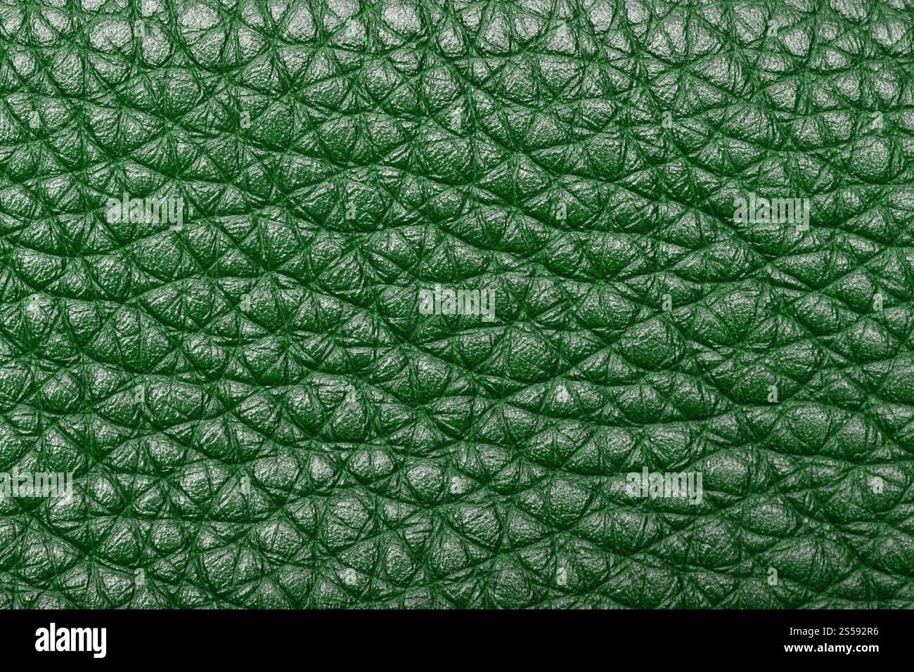 fond ou texture de cuir vert. cuir vert Banque D'Images