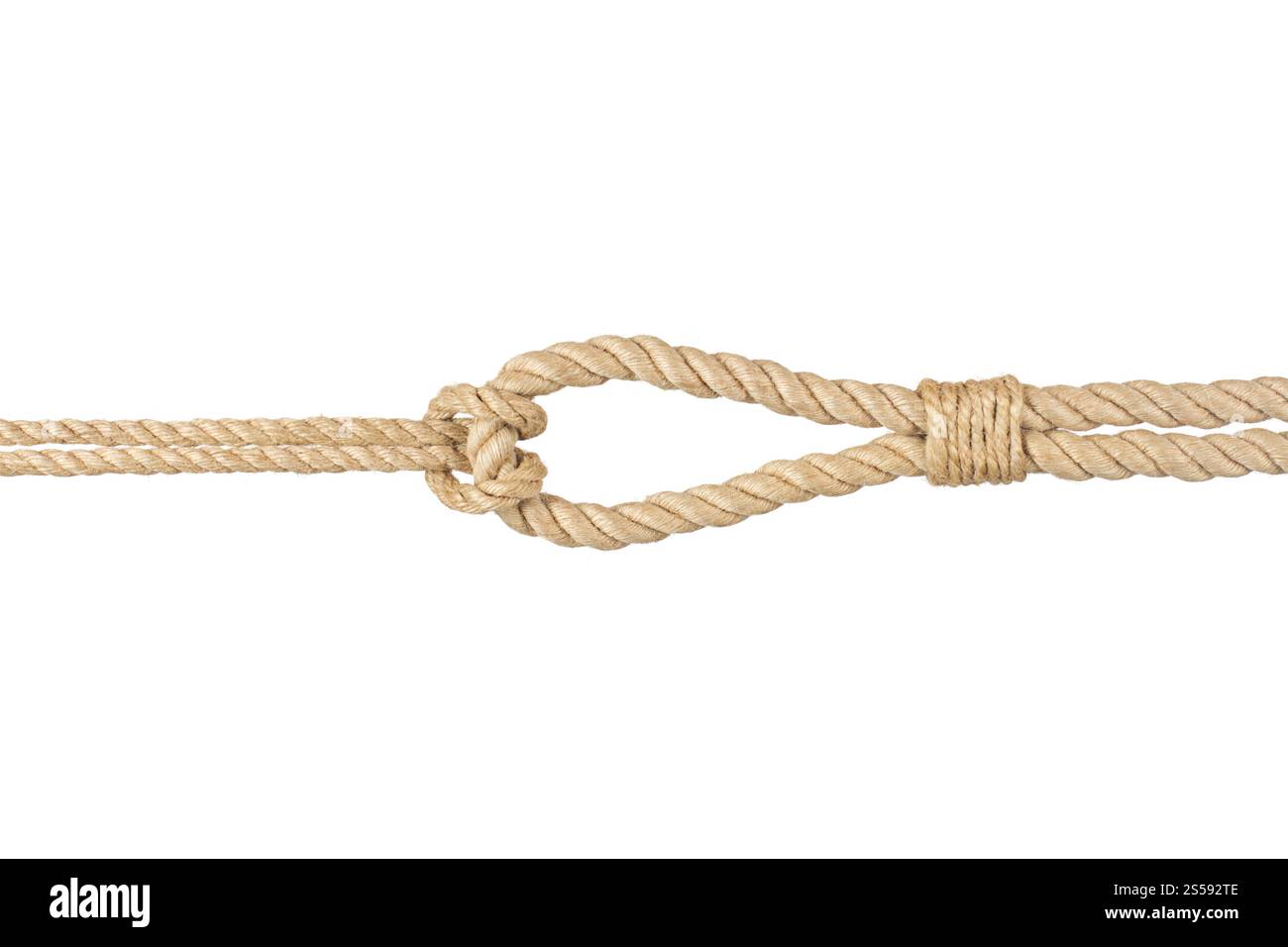 corde avec noeud isolé sur fond blanc. corde avec noeud, isolé sur blanc Banque D'Images