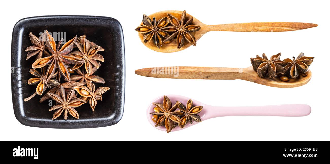 ensemble de différentes graines de badian (anis étoilé) isolées sur fond blanc Banque D'Images