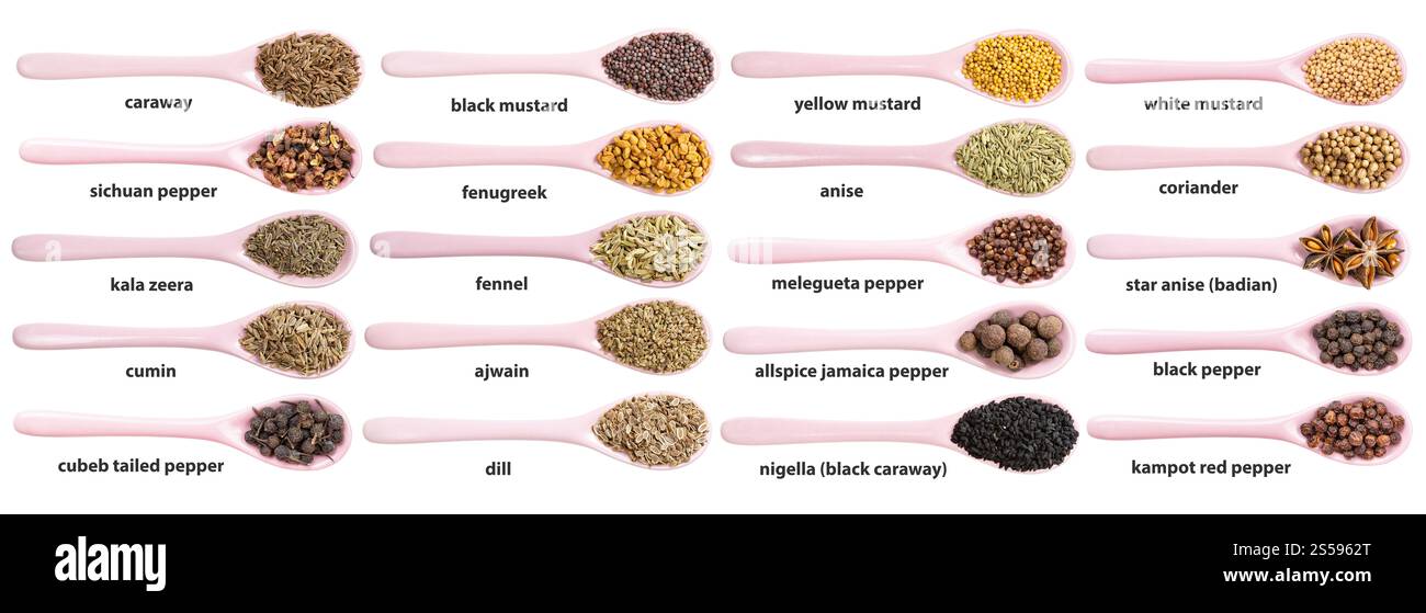 ensemble de cuillères en céramique avec différentes graines épicées avec des noms isolés sur des backgrouns blancs Banque D'Images