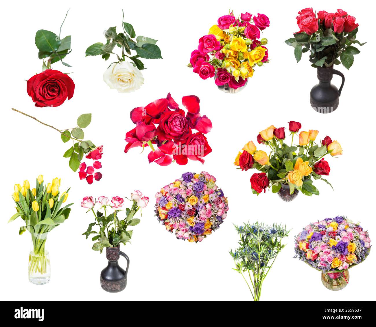 ensemble de diverses roses et fleurs dans des vases isolés sur fond blanc. pile de pétales fanés et fleurs de rose rouge Banque D'Images
