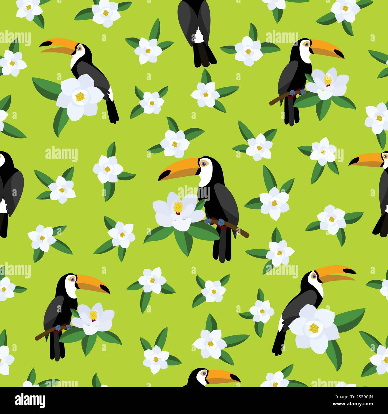 Motif oiseau toucan. Illustration plate du motif vectoriel d'oiseau toucan pour la conception de Web. Motif oiseau toucan, style plat Illustration de Vecteur