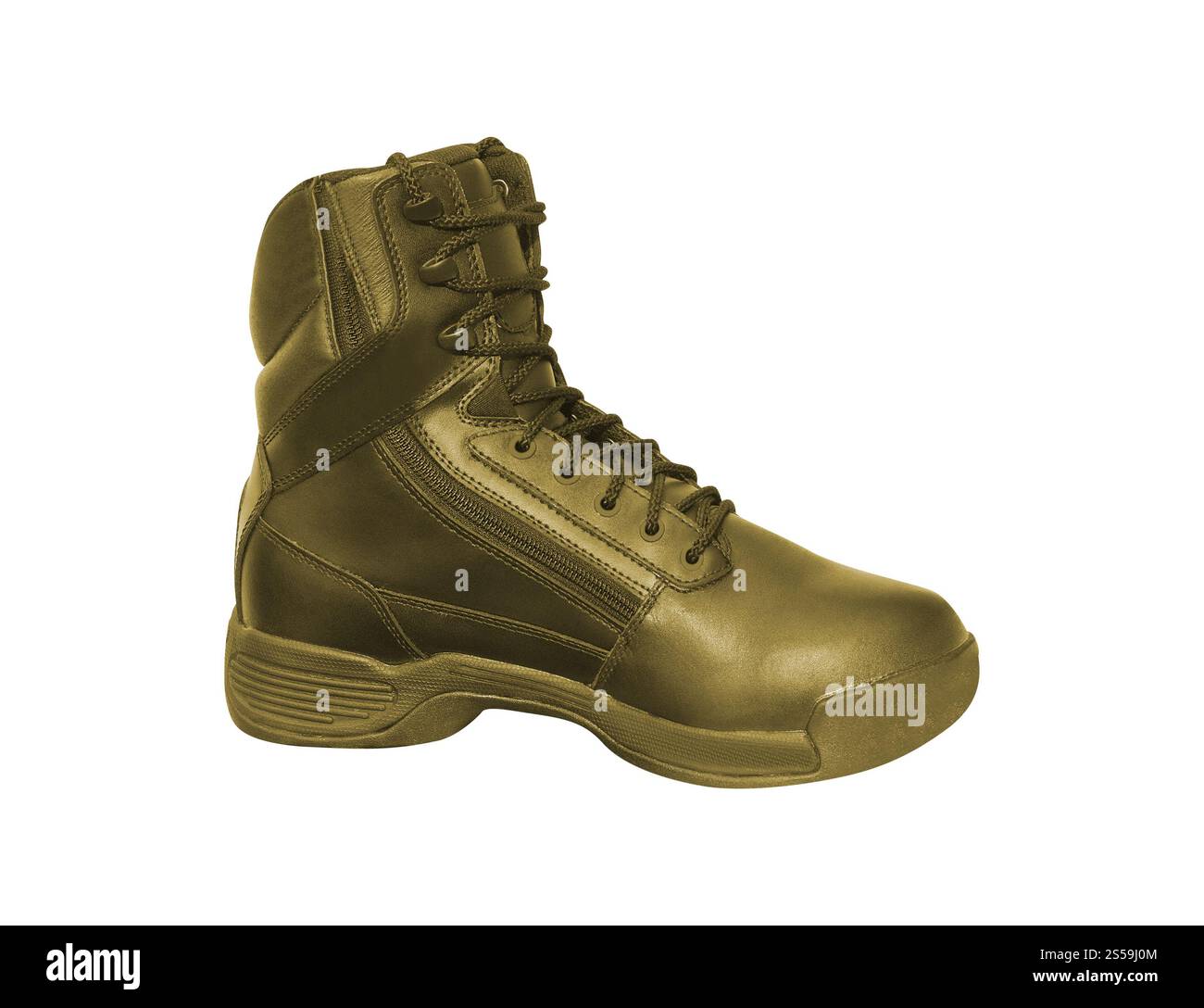 Bottes marron foncé Banque D'Images