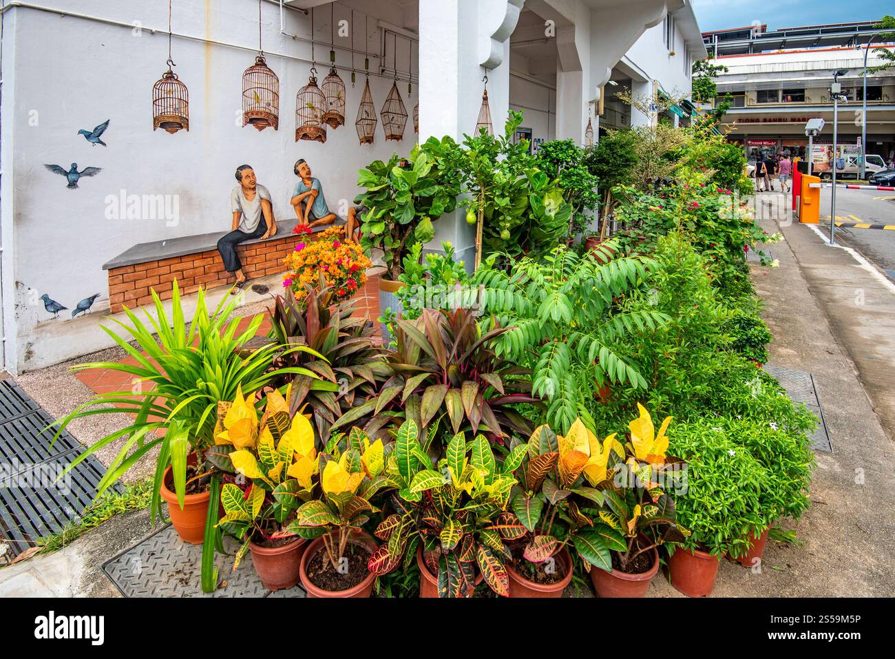 Des plantes colorées poussent dans le sentier près de la murale Bird Singing Corner de l'artiste Yip Yew Chong (YC) à Tiong Bahru, Singapour Banque D'Images
