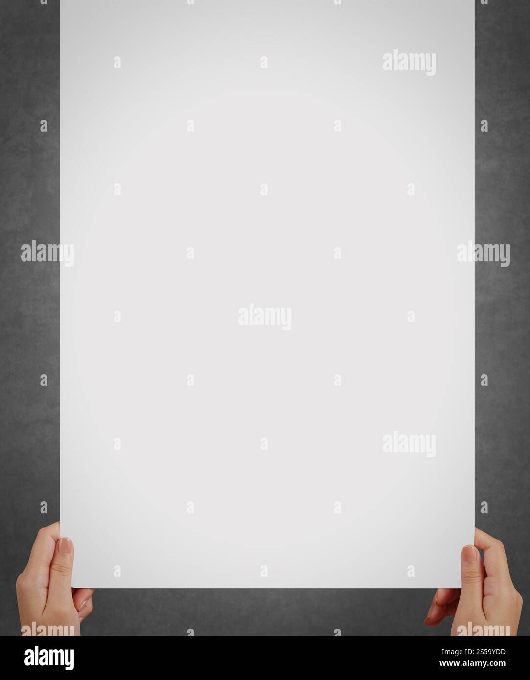 Main tenant une feuille de papier vierge avec les deux mains comme concept Banque D'Images