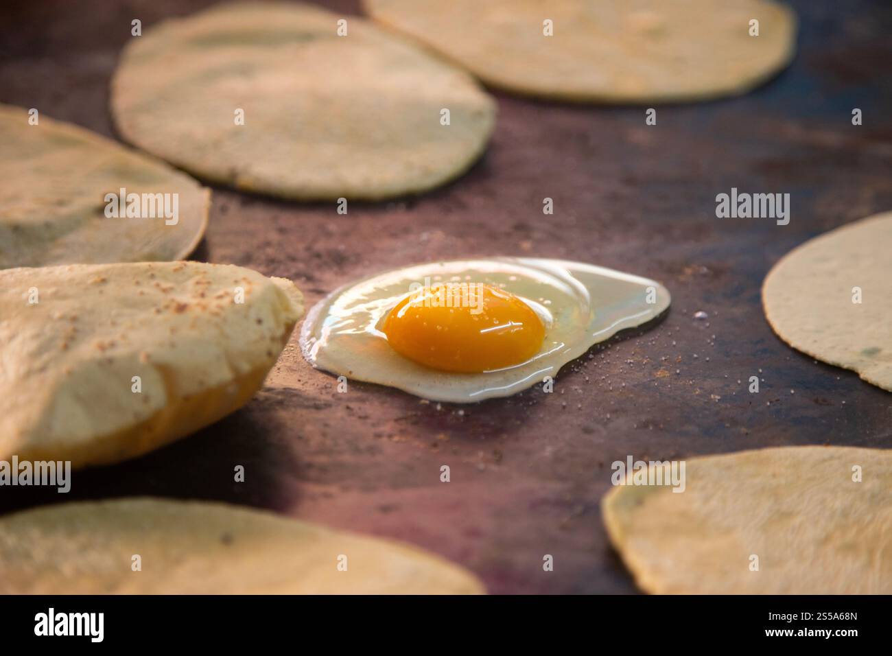 Cuisson de memelas au marché d'Oaxaca Central de Abastos avec fromage local, porc séché, œufs et sauce piquante. Banque D'Images