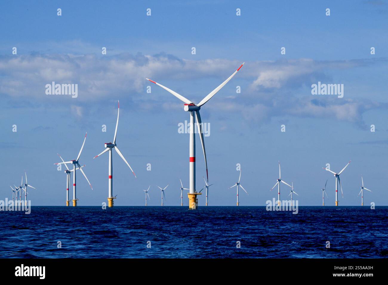 Fécamp (Normandie, Nord de la France) : vue sur le parc éolien offshore de Fécamp. Éoliennes offshore pour le parc éolien de 71 éoliennes *** légende locale *** Banque D'Images