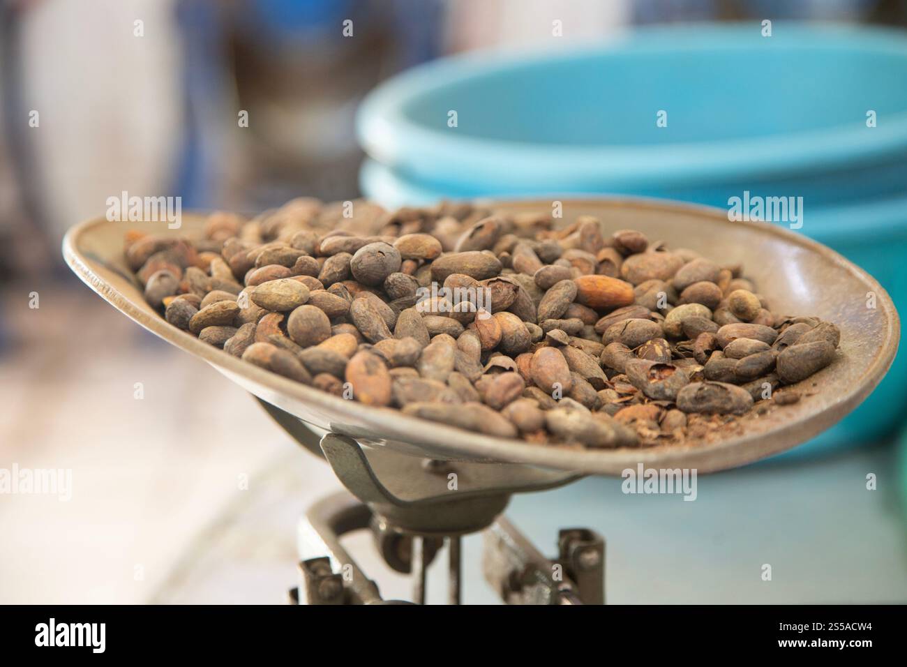 Machines produisant du cacao mexicain au marché Abastos à Oaxaca, Mexique. Banque D'Images