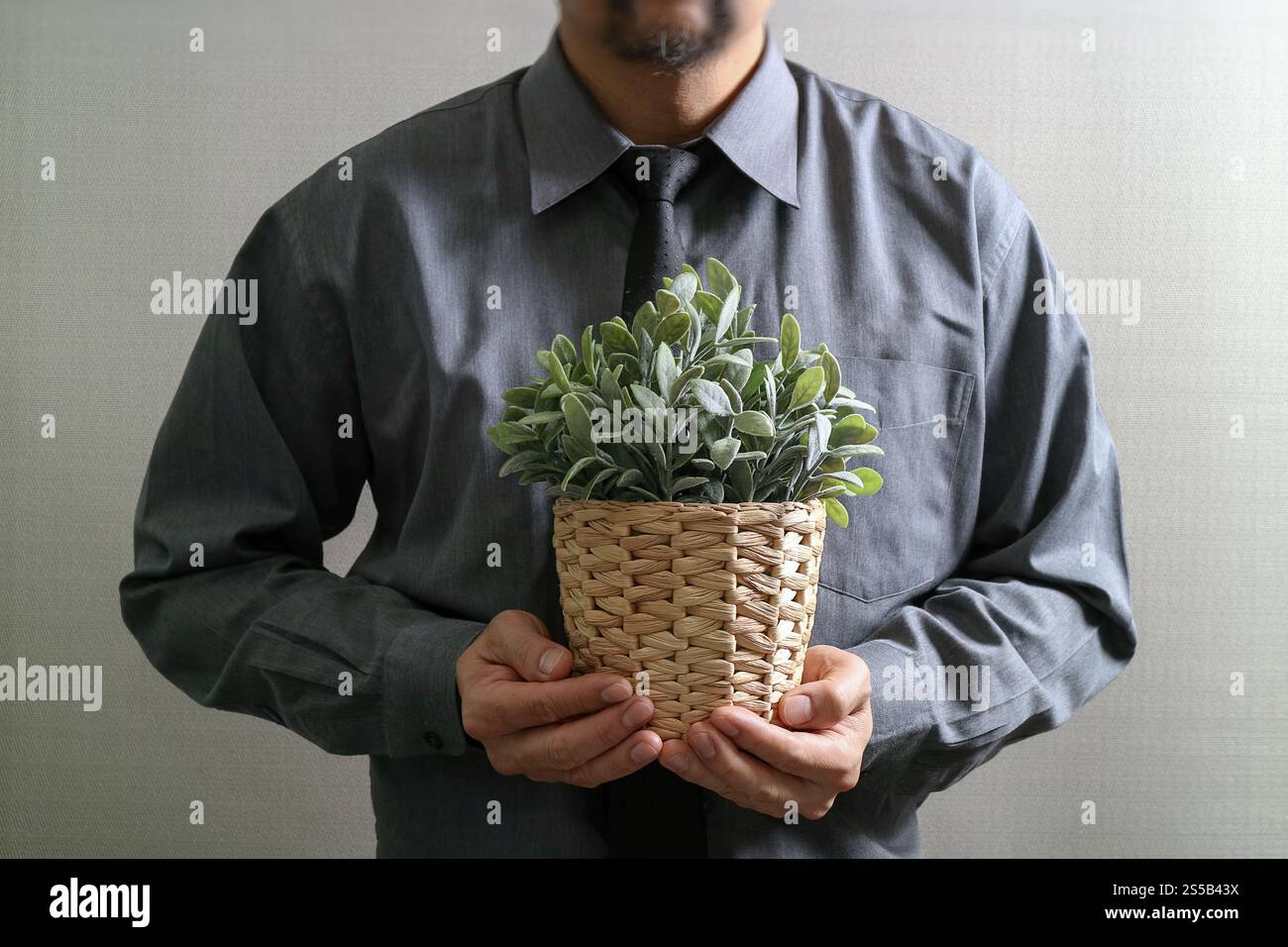 Succès businessman holding plant,vase,arbre,effet filtre vue avant Banque D'Images