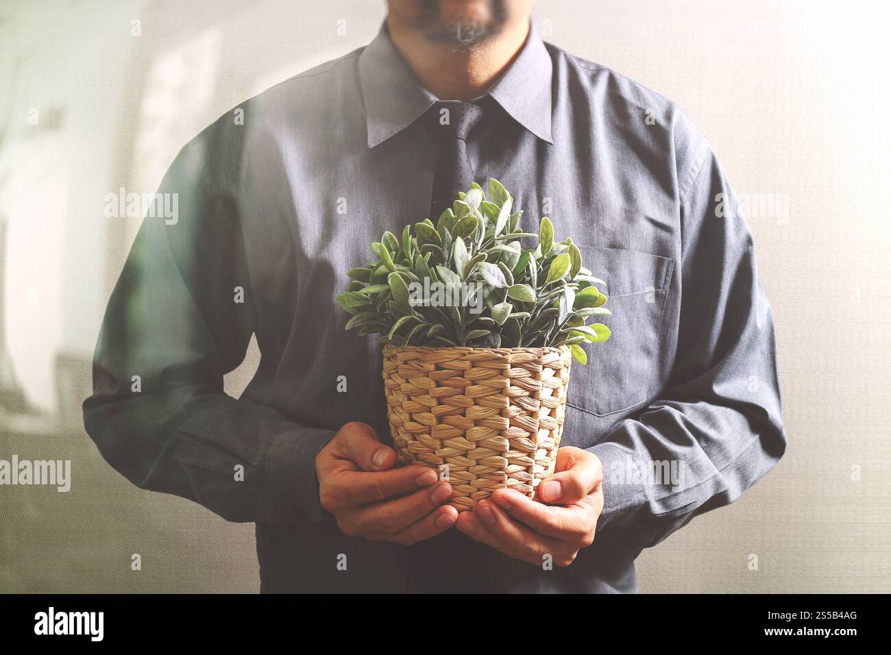Succès businessman holding plant,vase,arbre,effet filtre vue avant Banque D'Images