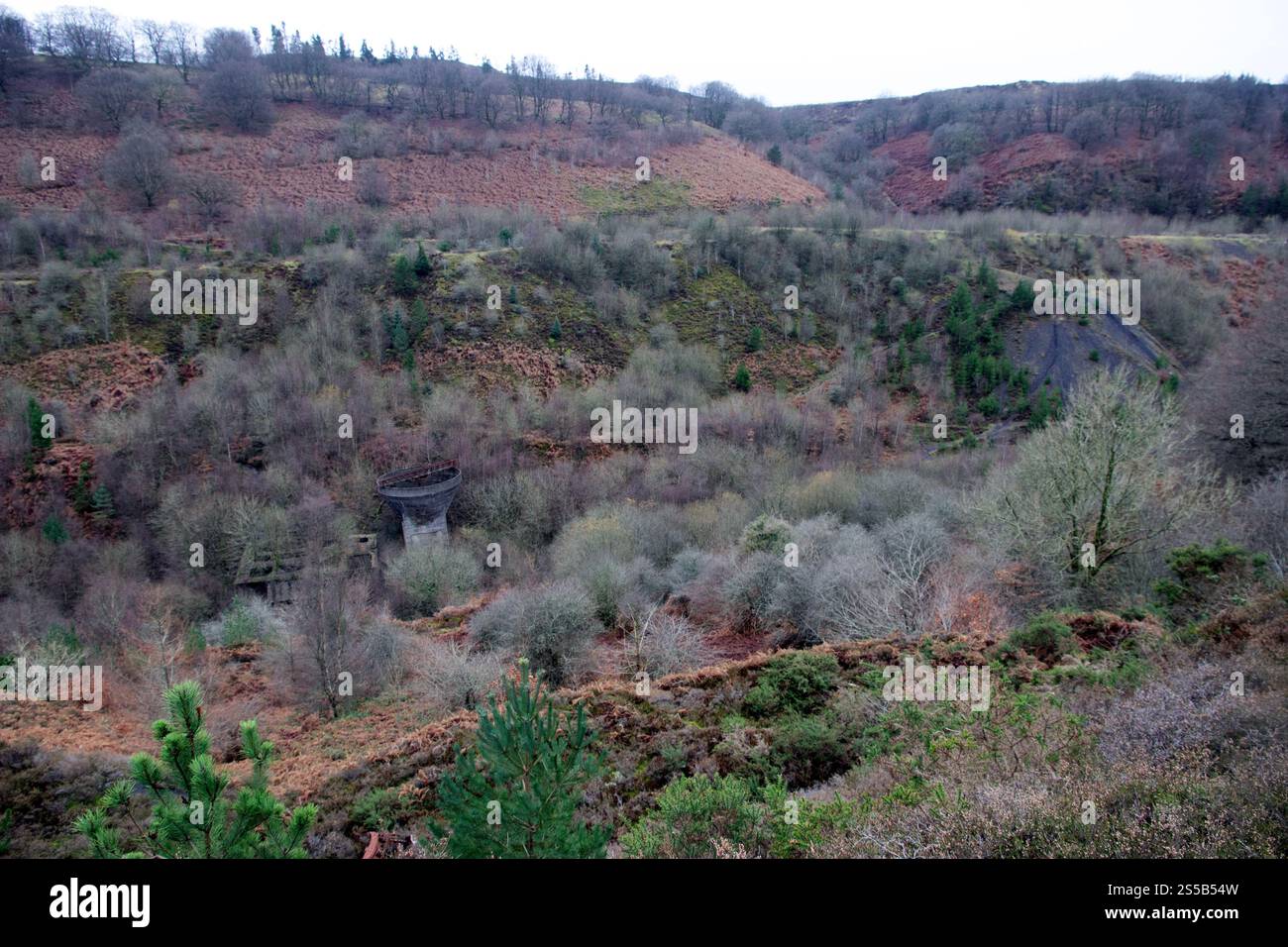 MCG nant ddu et le lavabo de charbon des mines de charbon Llanerch et Blaenserchan, photographiés depuis le mémorial Llanerch voisin où 176 hommes et garçons sont morts Banque D'Images